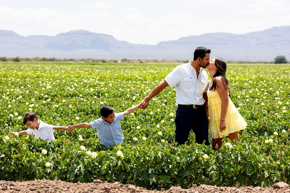 Family of four sharing a kiss in a lush green flower field with mountains in the background.