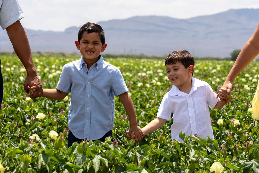 Two young boys holding hands and smiling in a lush green flower field on a sunny day.