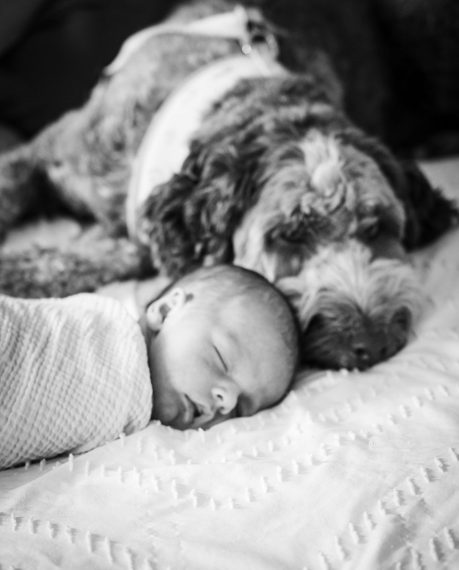 newborn image 2