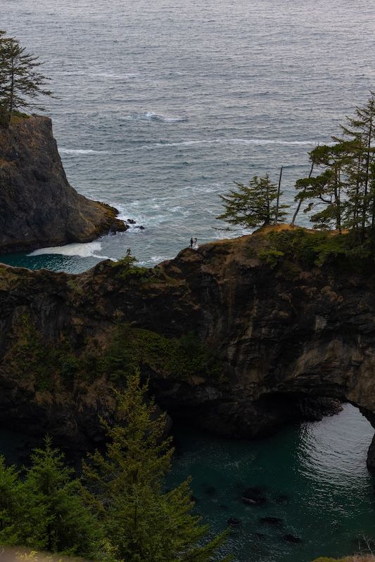 Rocky coastal cliffs with turquoise coves, evergreen trees, and two figures standing on a promontory overlooking the Pacific Ocean.