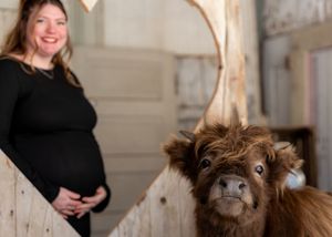 Pregnant woman in black dress smiling beside a fluffy miniature Highland cow in a rustic barn setting.