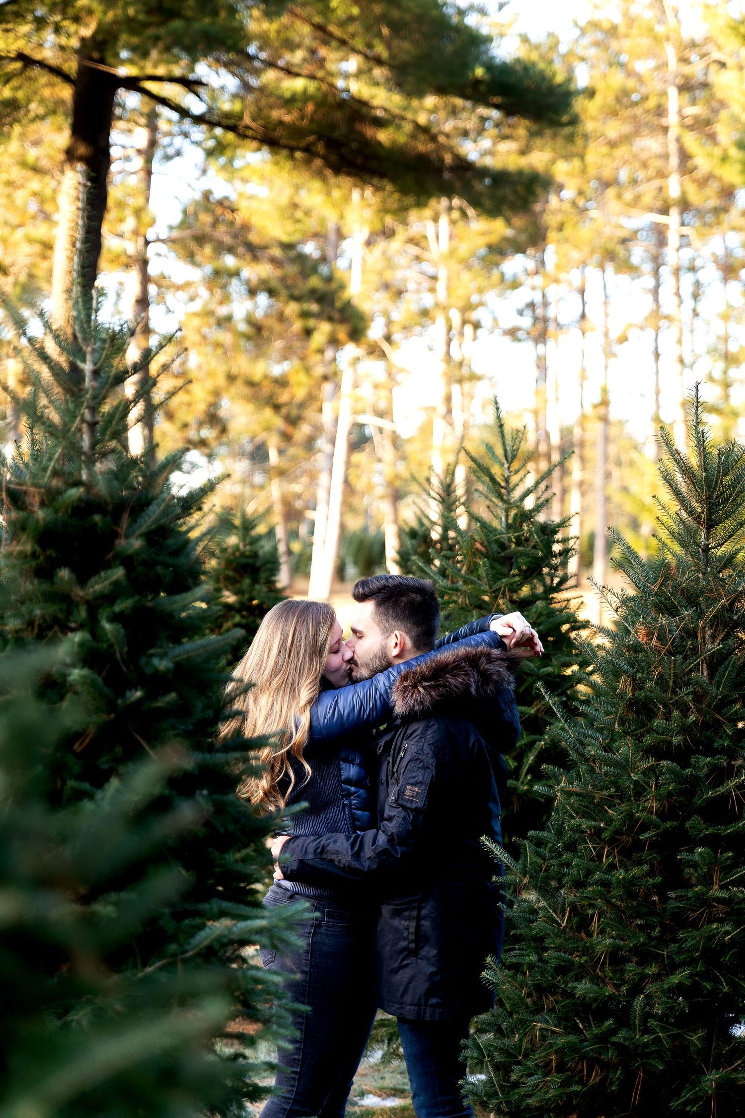 Couple embracing and kissing among green Christmas trees in a sunlit forest, wearing winter jackets.