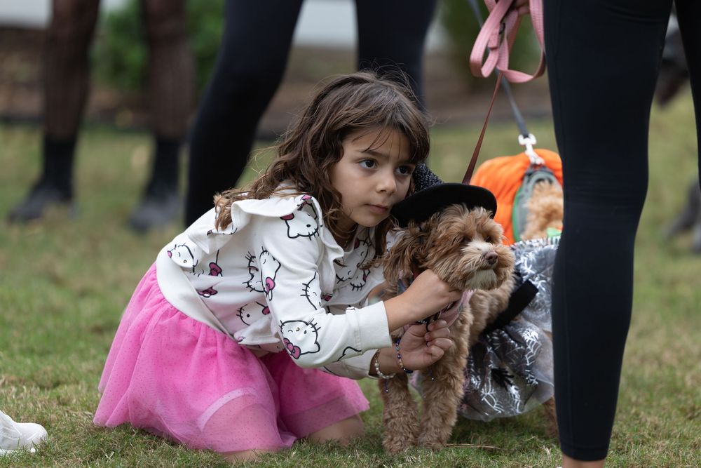 Young girl in pink tutu hugs a fluffy brown dog on grass at an outdoor pet event.