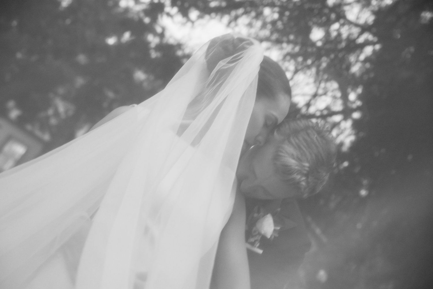 Black and white wedding photo of bride wearing a flowing veil, sharing a tender moment outdoors among trees.
