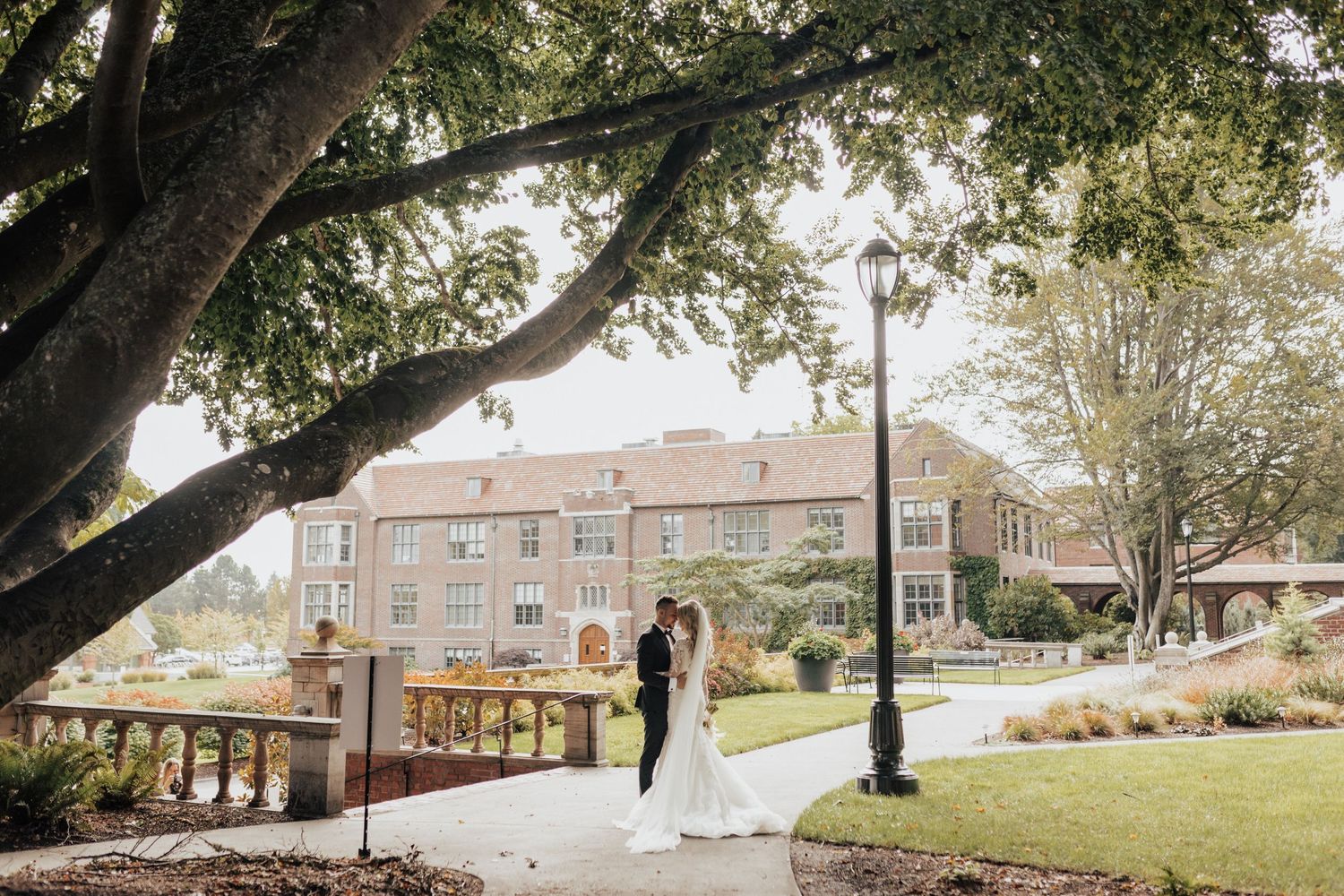 Wedding couple photographed under large tree on landscaped university campus grounds.
