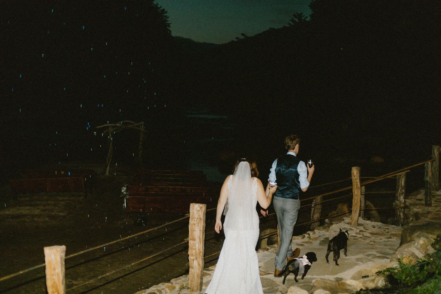 Nighttime wedding photo of couple walking on wooden bridge with dogs.