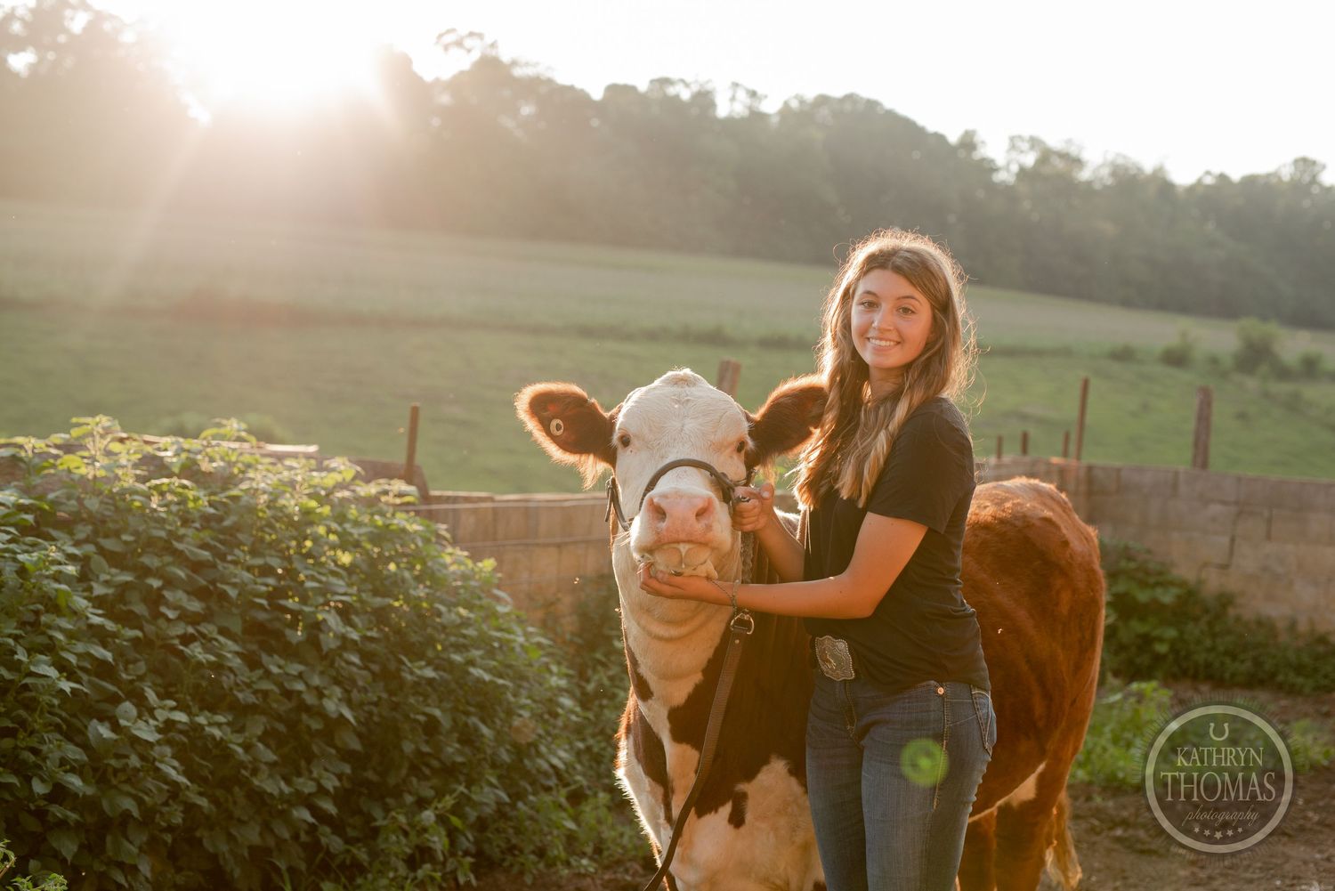 A brown and white cow poses with its caretaker in a pastoral setting during golden hour.