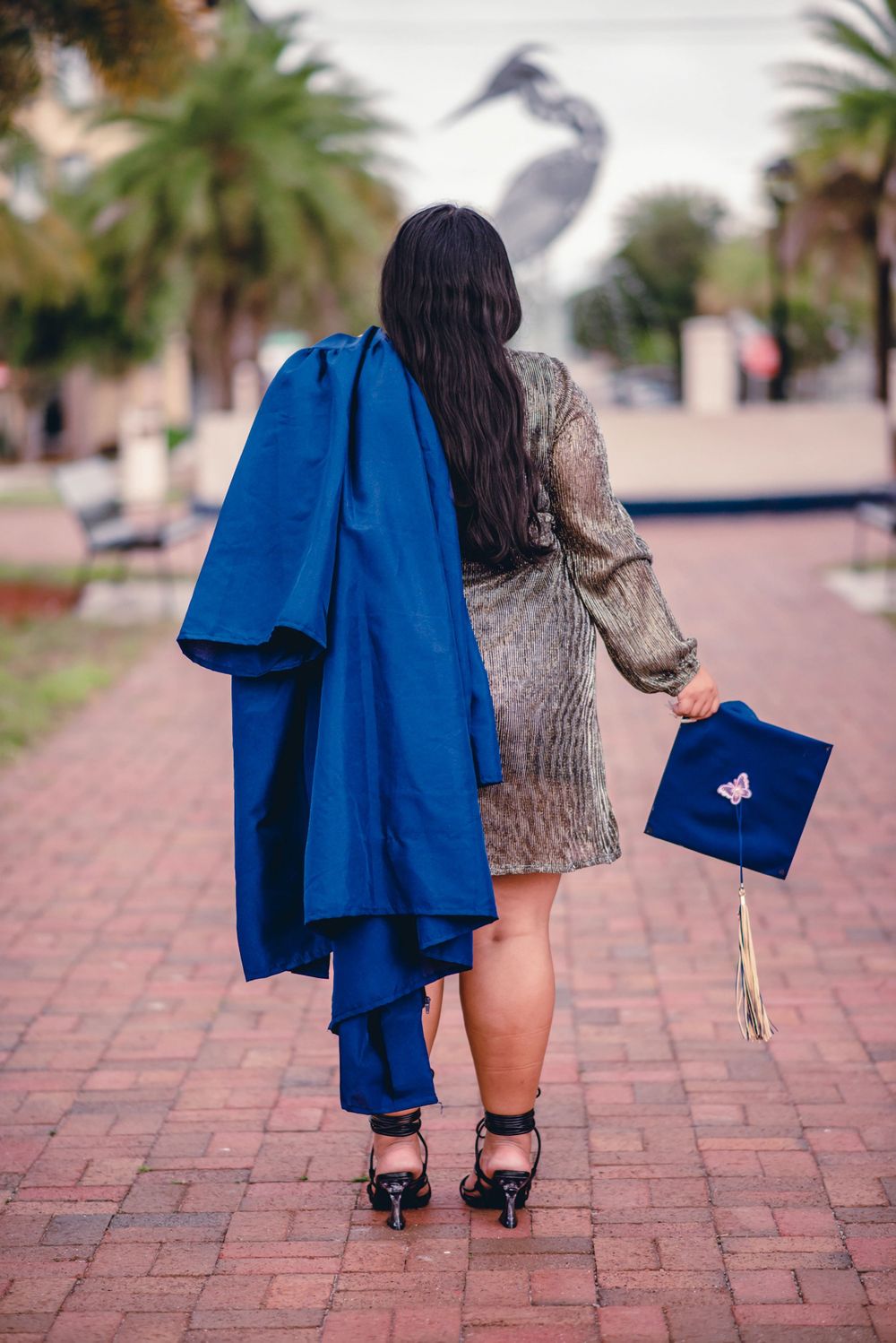 Graduation Portfolio - Wedding Photographer