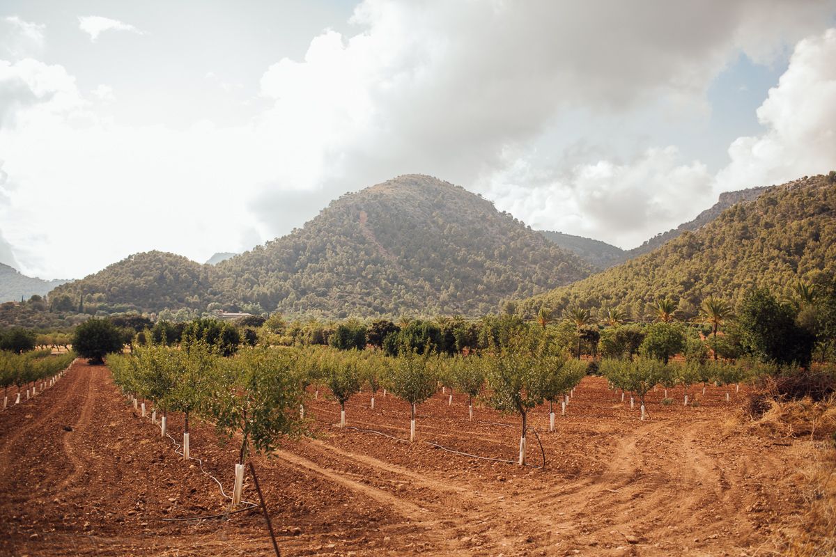 Son Togores, destination wedding Mallorca