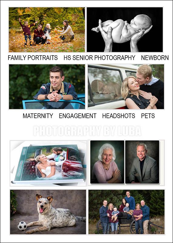 gift certificate idea for family portraits hs senior pictures newborn wedding birthday photographer luba wold