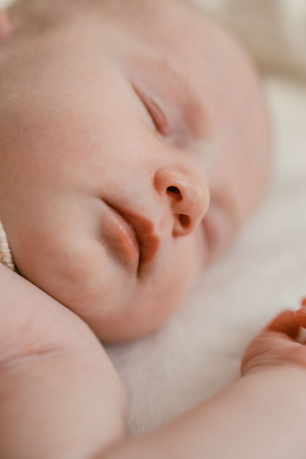 Newborn Photography Wollondilly | Wollondilly Newborn Photographer