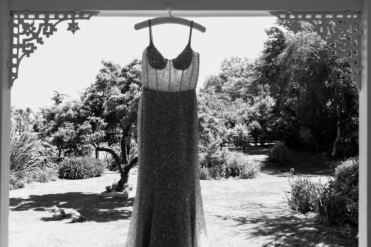 Vintage black and white photo of a formal dress hanging outdoors in a garden setting.