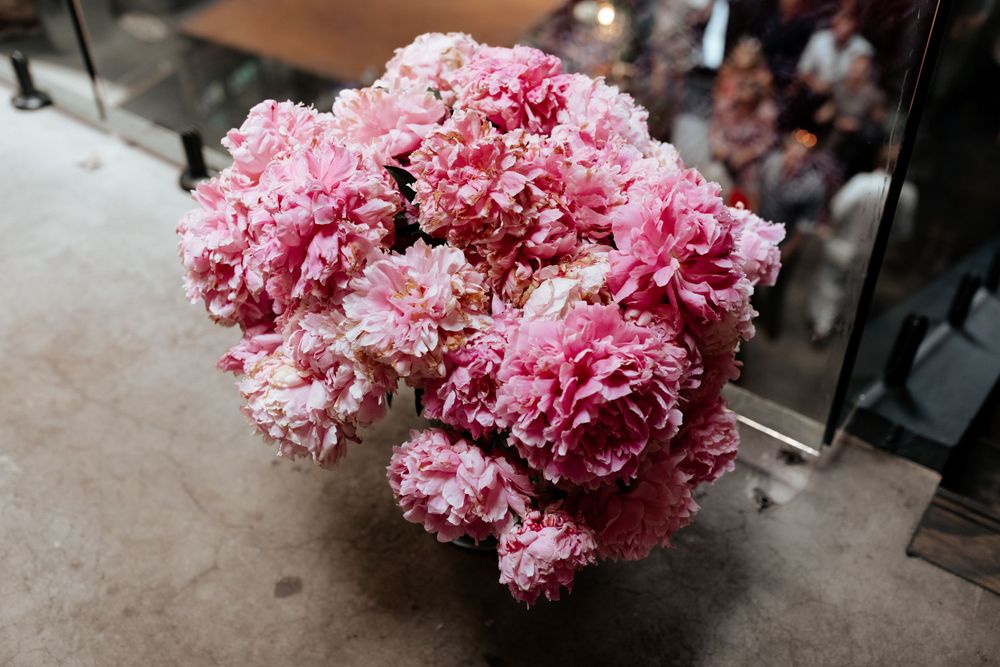 Close-up of pink peony flowers in full bloom against a concrete surface.