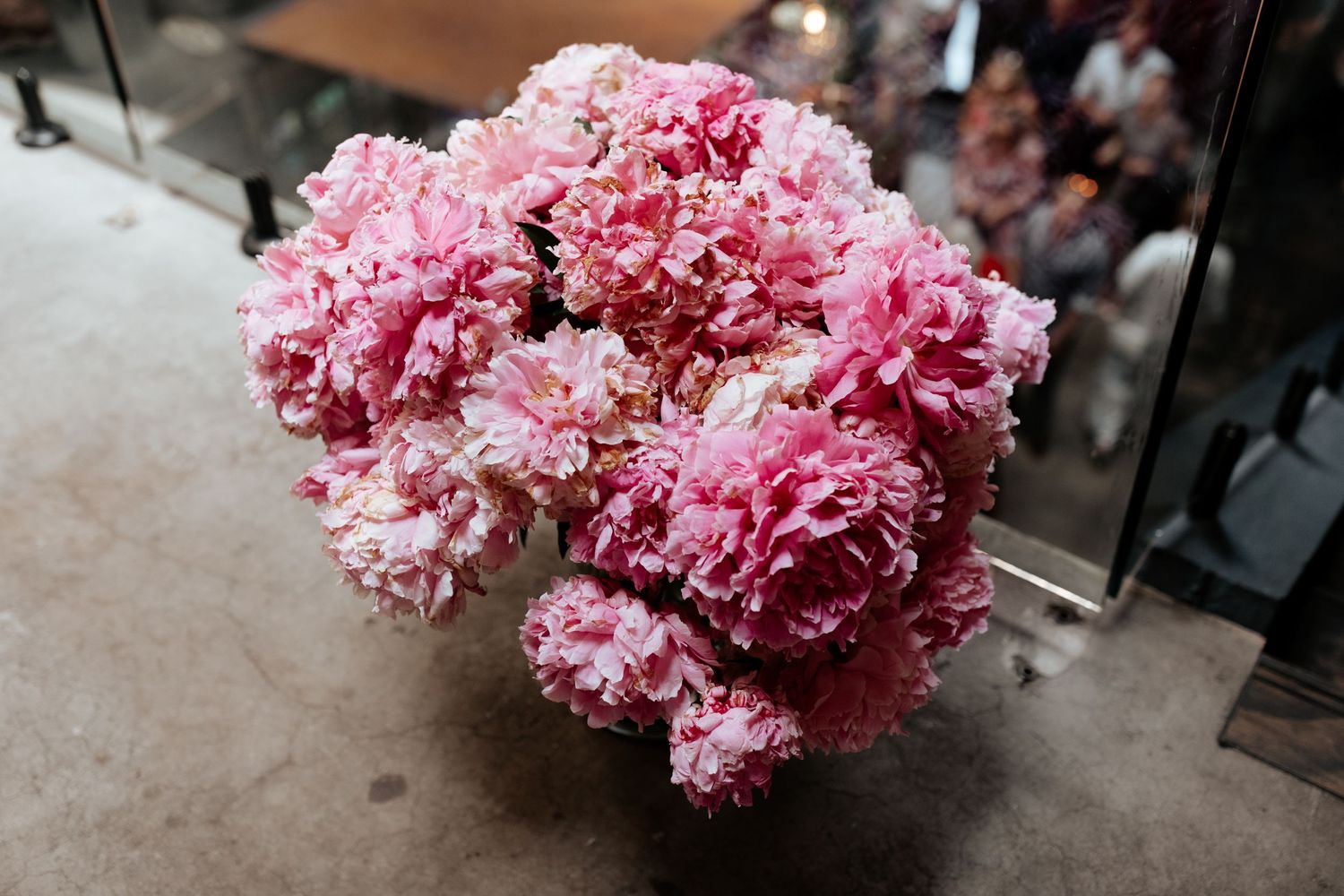 Close-up of pink peony flowers in full bloom against a concrete surface.