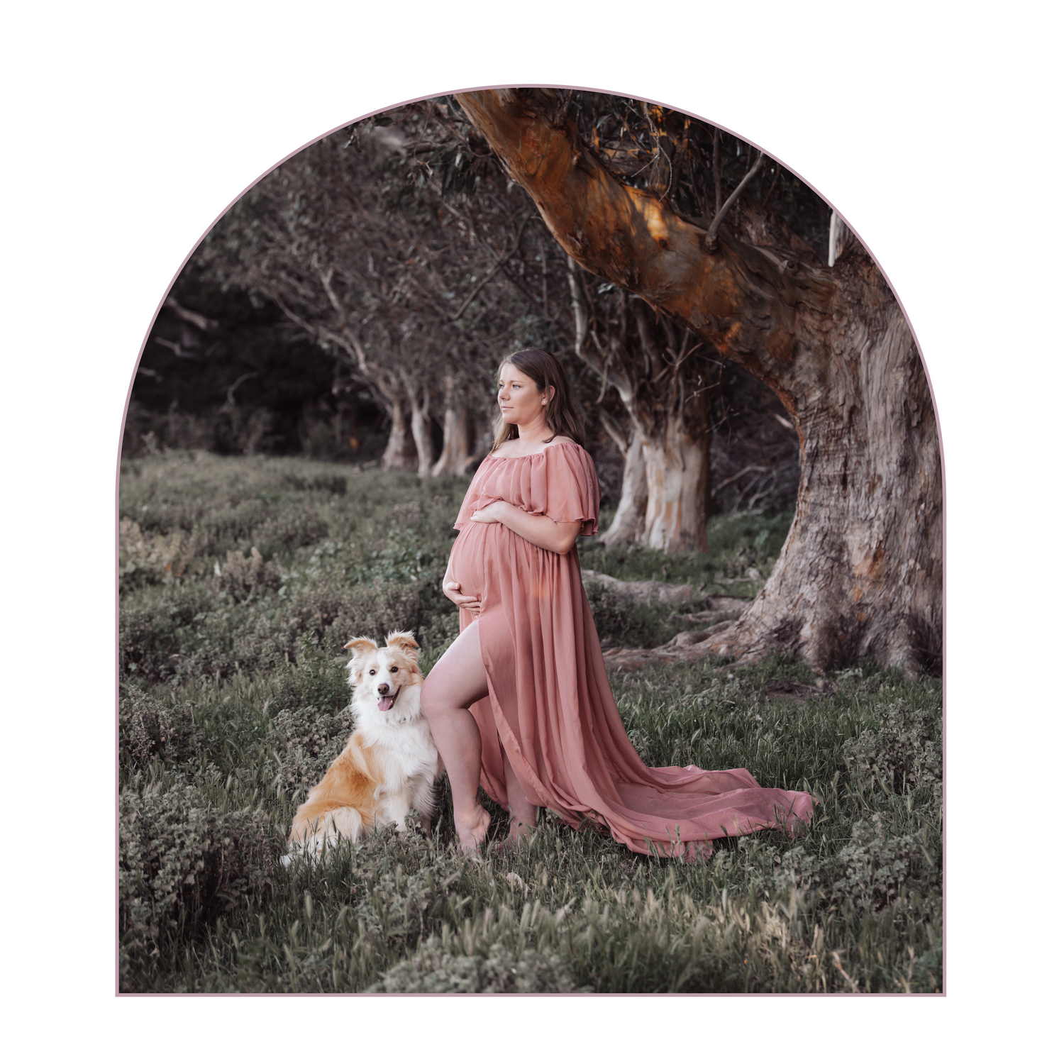 A peaceful maternity scene in a pink dress with a dog companion under old trees.