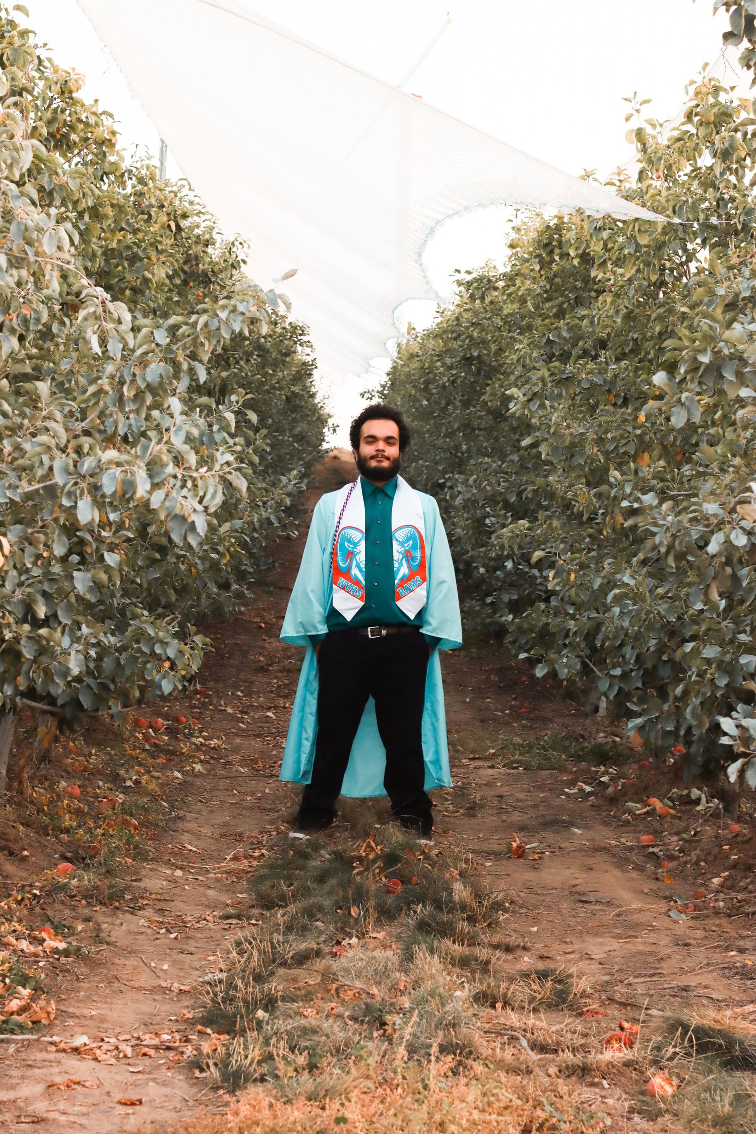 Man in turquoise graduation robe standing between rows of apple trees in an orchard.