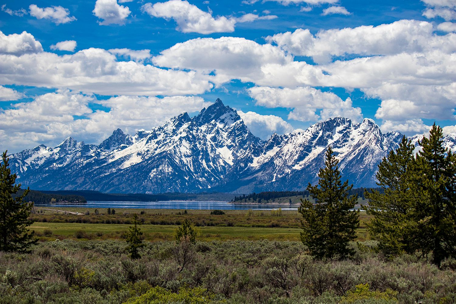 Grand Teton mountains with blue sky puffy white clouds with some trees