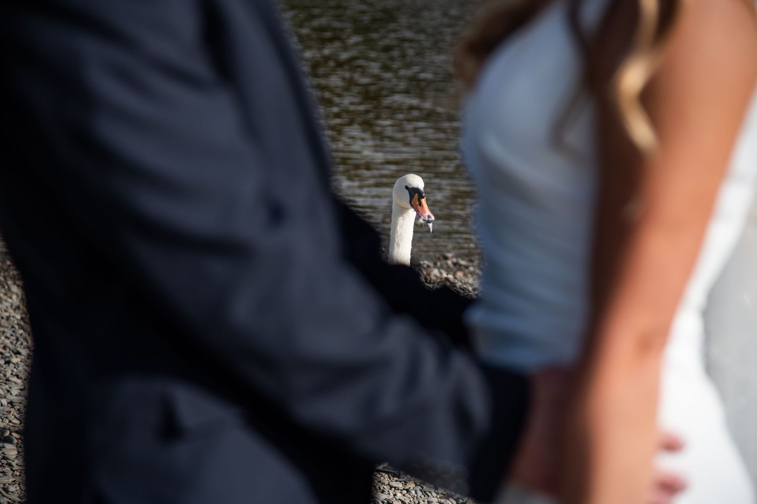 Elegant black and white wedding attire details captured during outdoor ceremony.