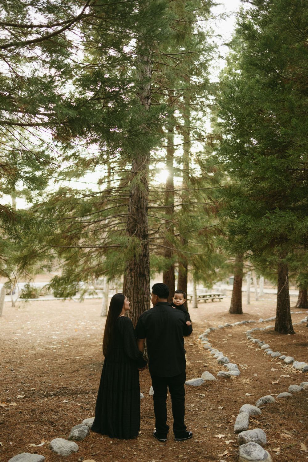 Two figures in dark clothing stand on a stone-lined path among tall evergreen trees in a serene forest setting.