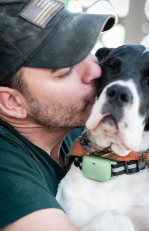 Man in camo cap kissing his black and white Great Dane dog wearing a green collar.