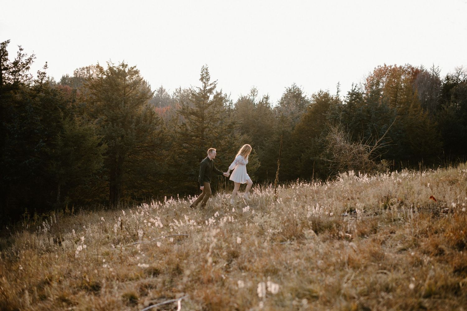 A figure stands in a golden field at sunset with forest trees in the background.
