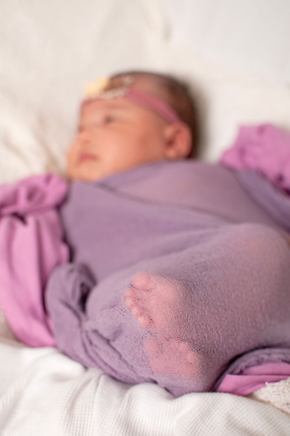 newborn wrap photo in purple