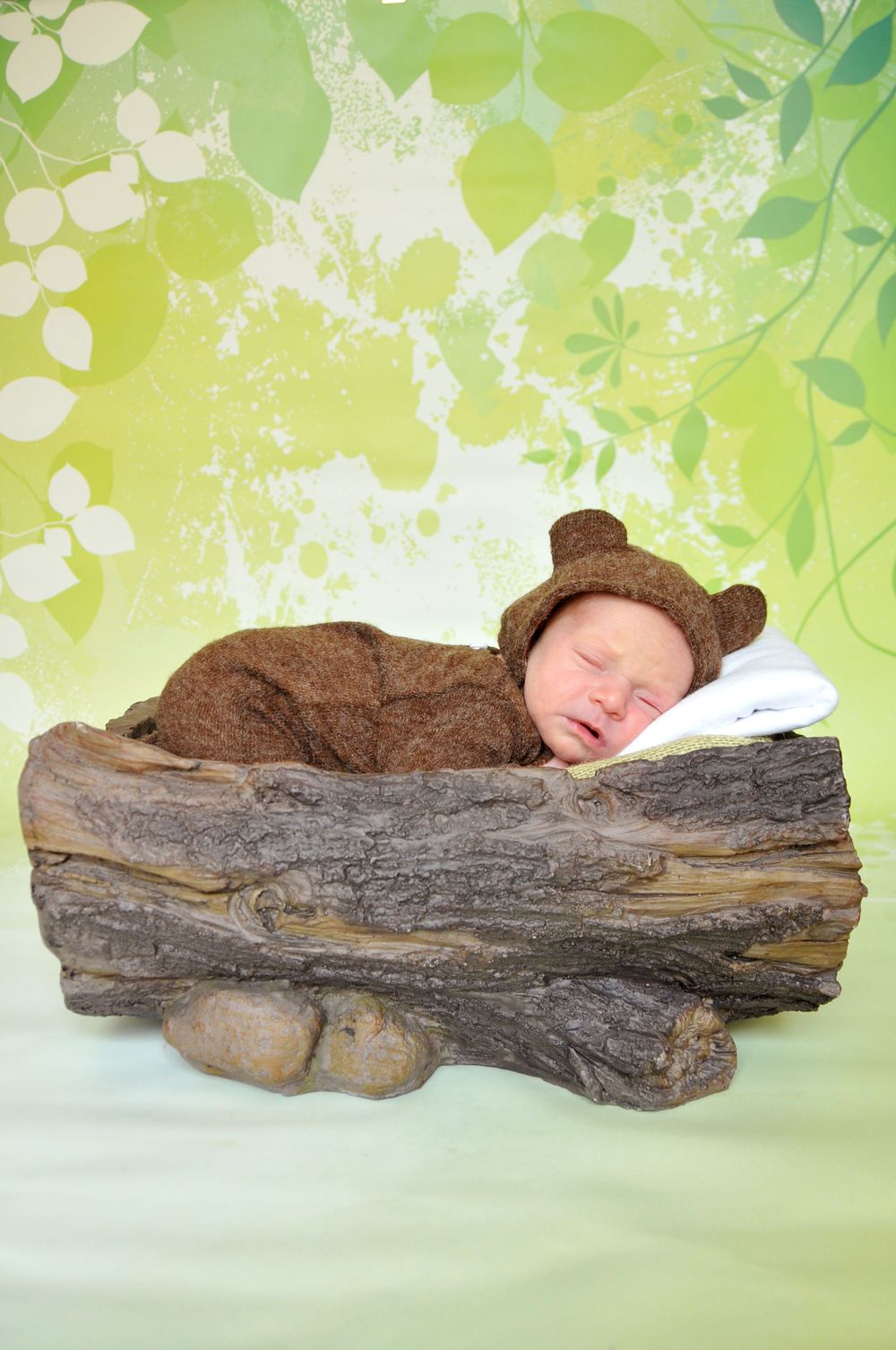 newborn baby bear photo