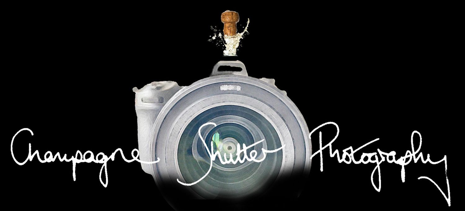 Champagne Shutter Photography - wedding photographer Sheffield, South Yorkshire, Wakefield, Leeds, West Yorkshire