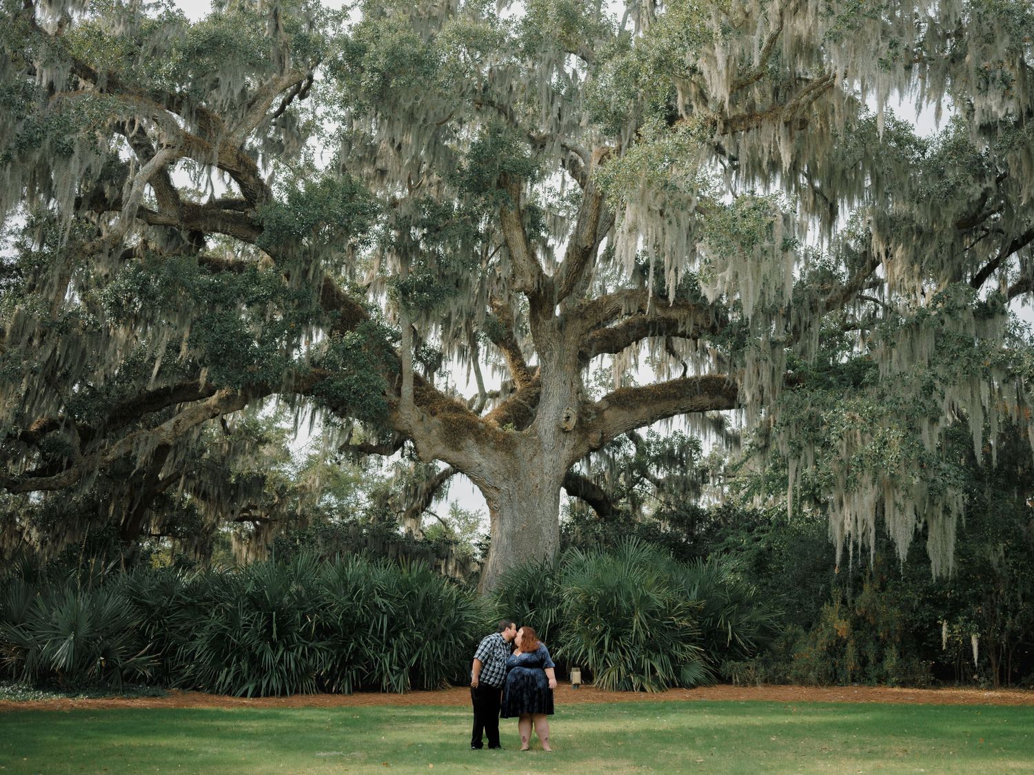 Wilmington Family Photos