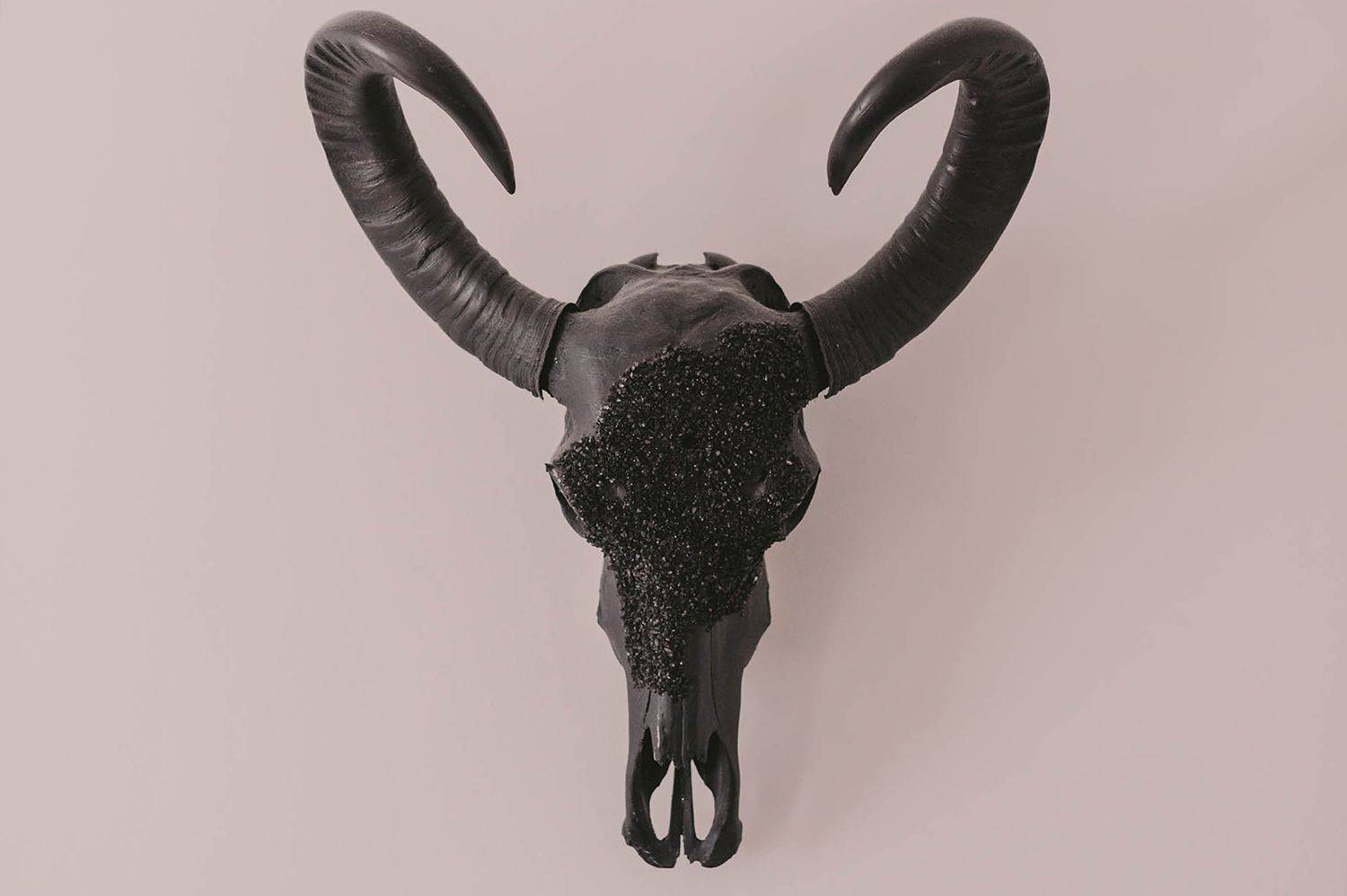 Collection of decorative animal skull wall mounts with horns arranged artistically.