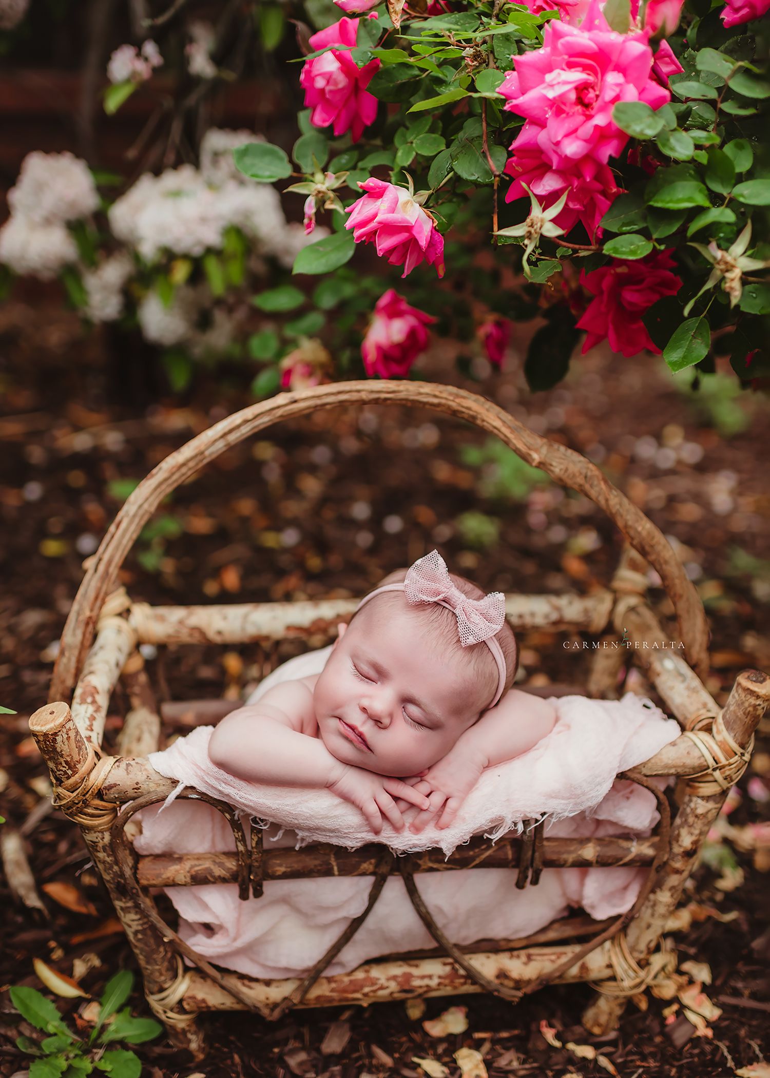 newborn photographer near me