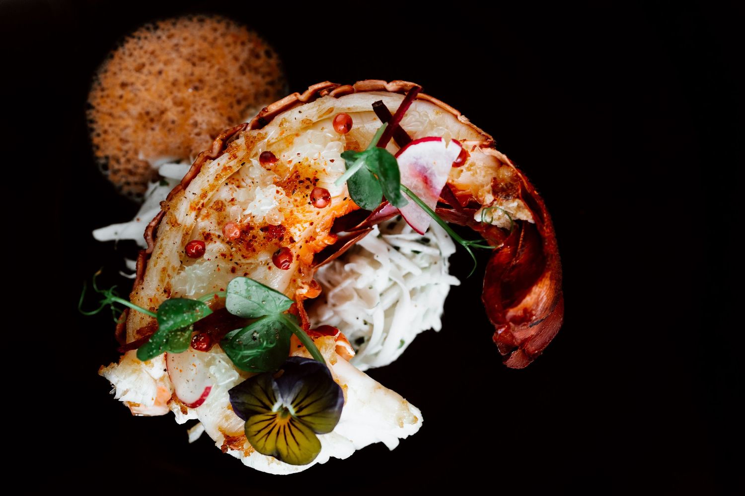 Close-up shots of elegantly plated gourmet dishes on dark backgrounds showcase culinary artistry.