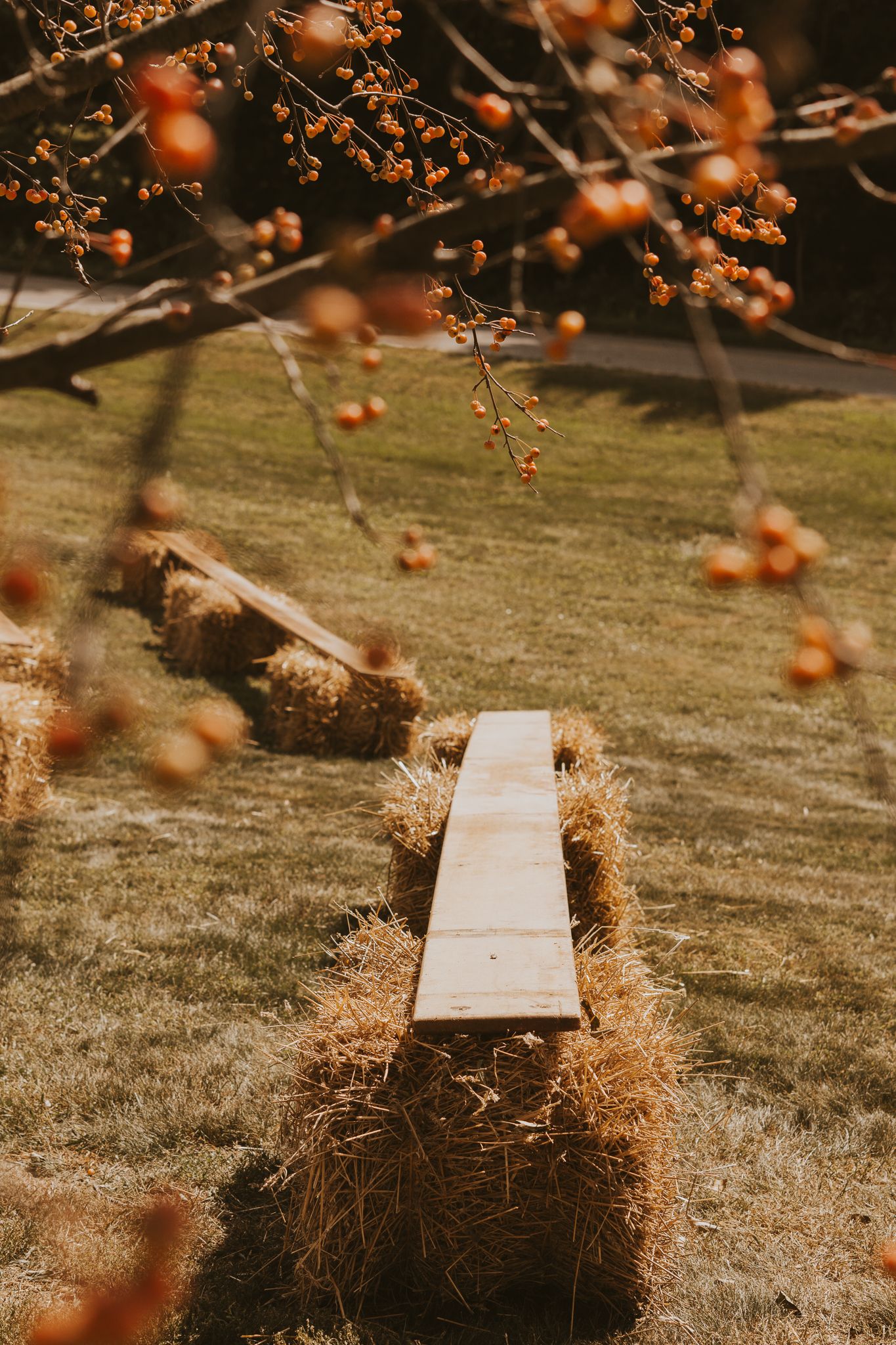 A wooden plank walkway lined with hay bales under autumn berries.
