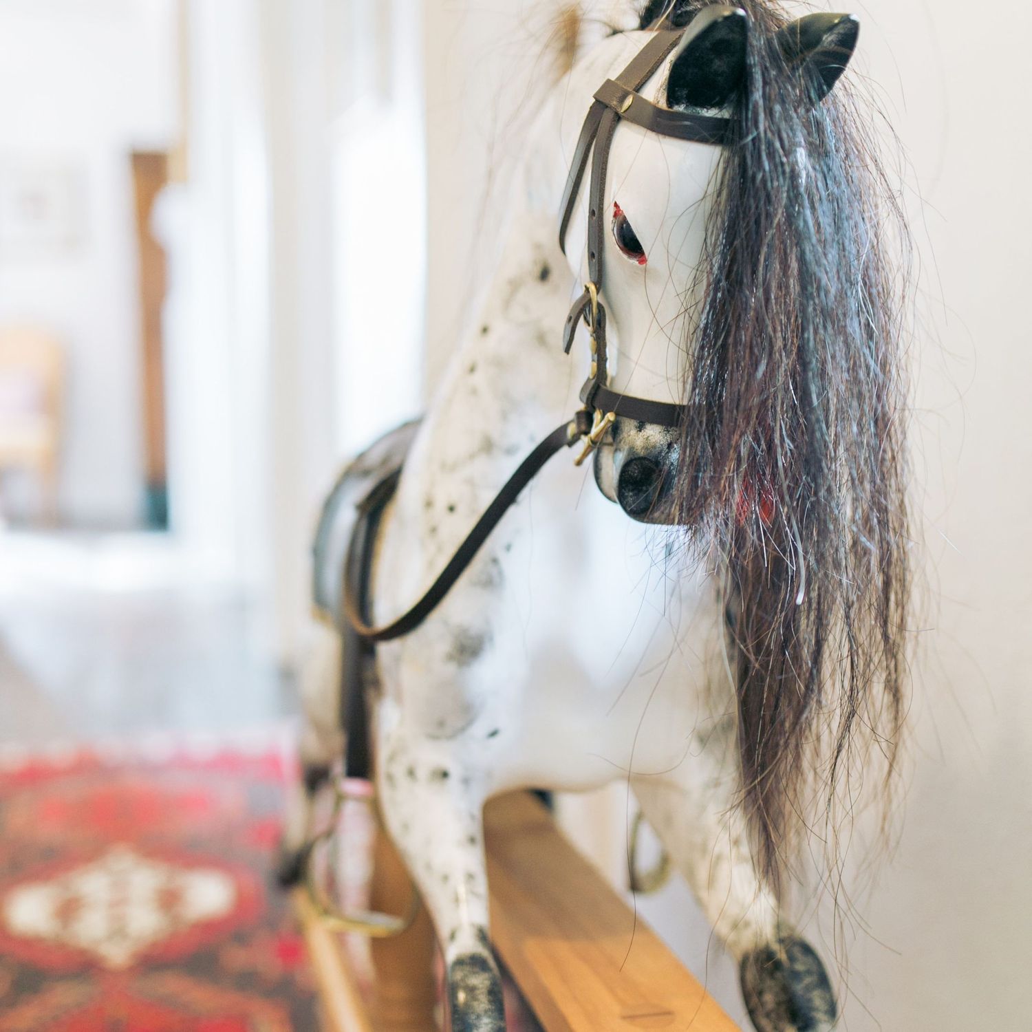 horse female commercial photographer