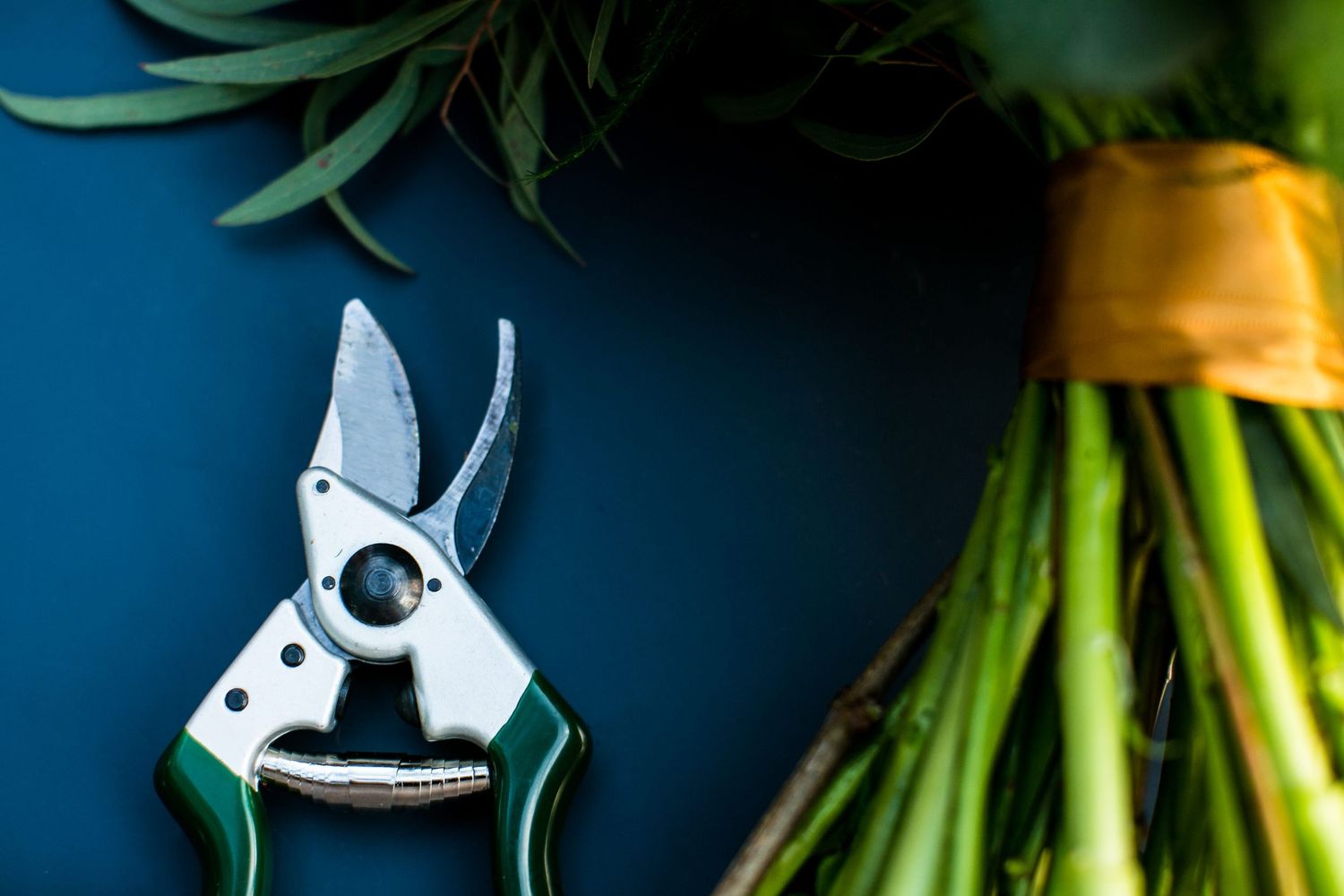 flatlay with cutters Gloucestershire commercial photography