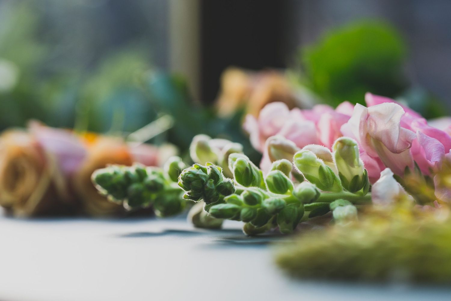 florist bristol commercial photographer