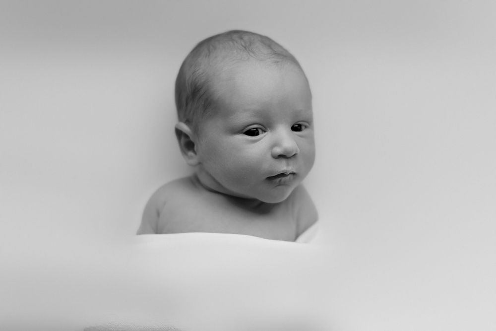 Sara Prue Photography- Creating timeless newborn portraits.