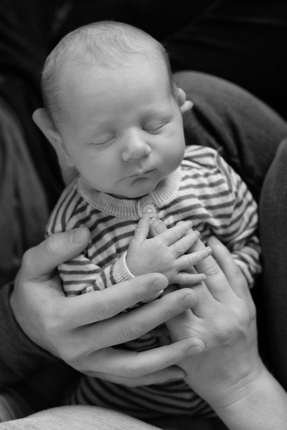 Sara Prue Photography- Creating timeless newborn portraits.