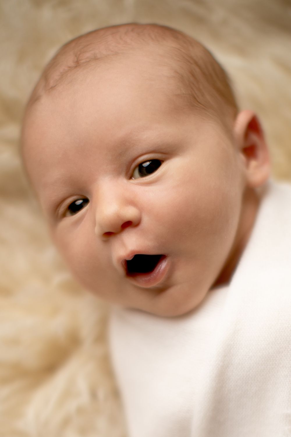 Sara Prue Photography- Creating timeless newborn portraits.
