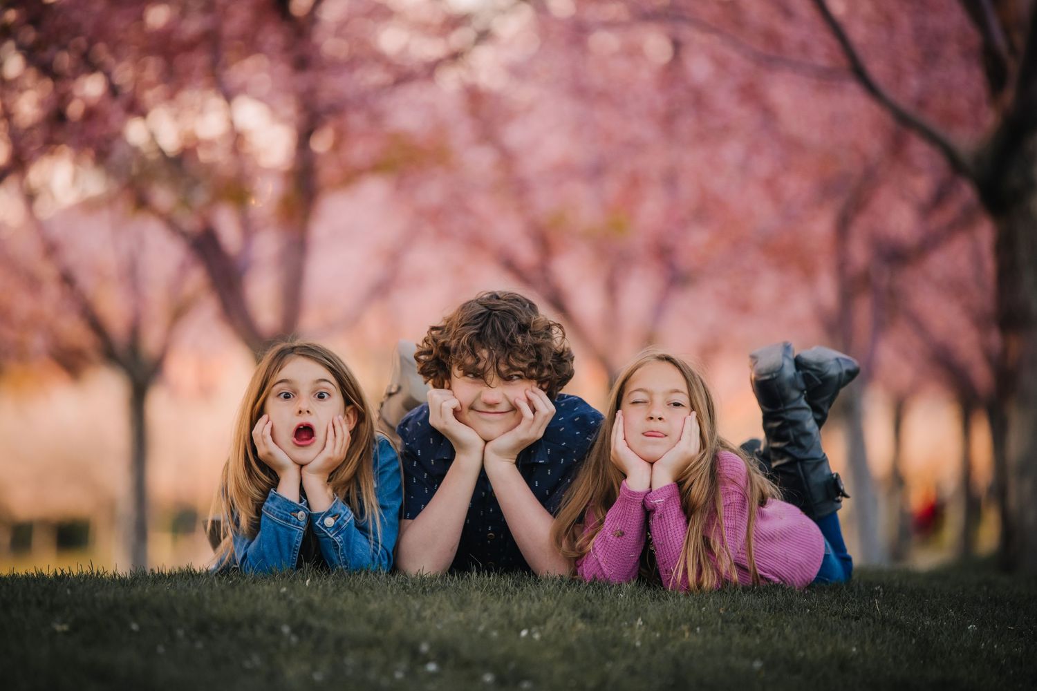 Utah State Capitol Blossoms Family Session