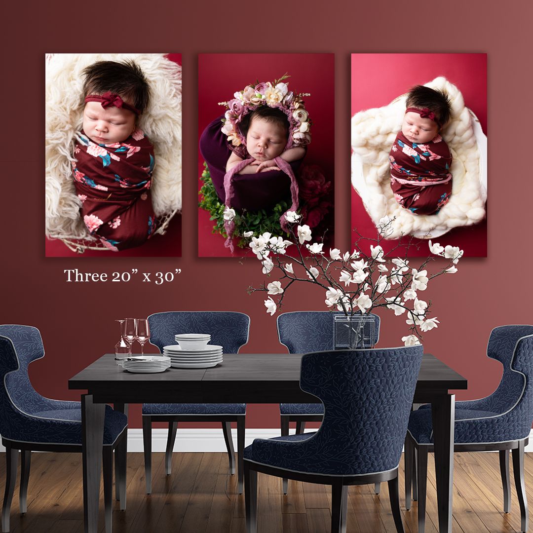 Lithia, FL Newborn & Maternity Photographer