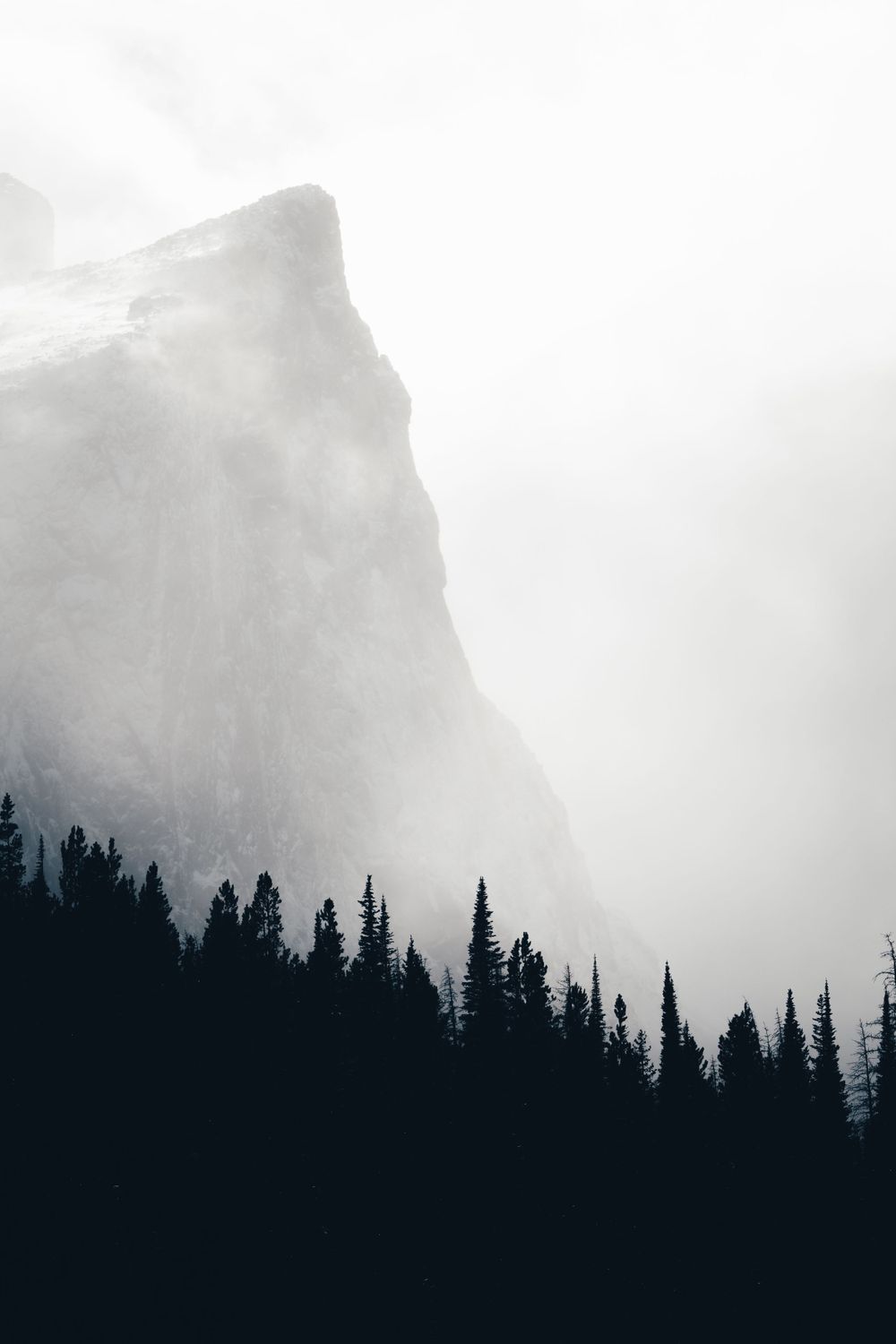 Dramatic mountain peaks shrouded in fog with evergreen forest silhouettes in the foreground.