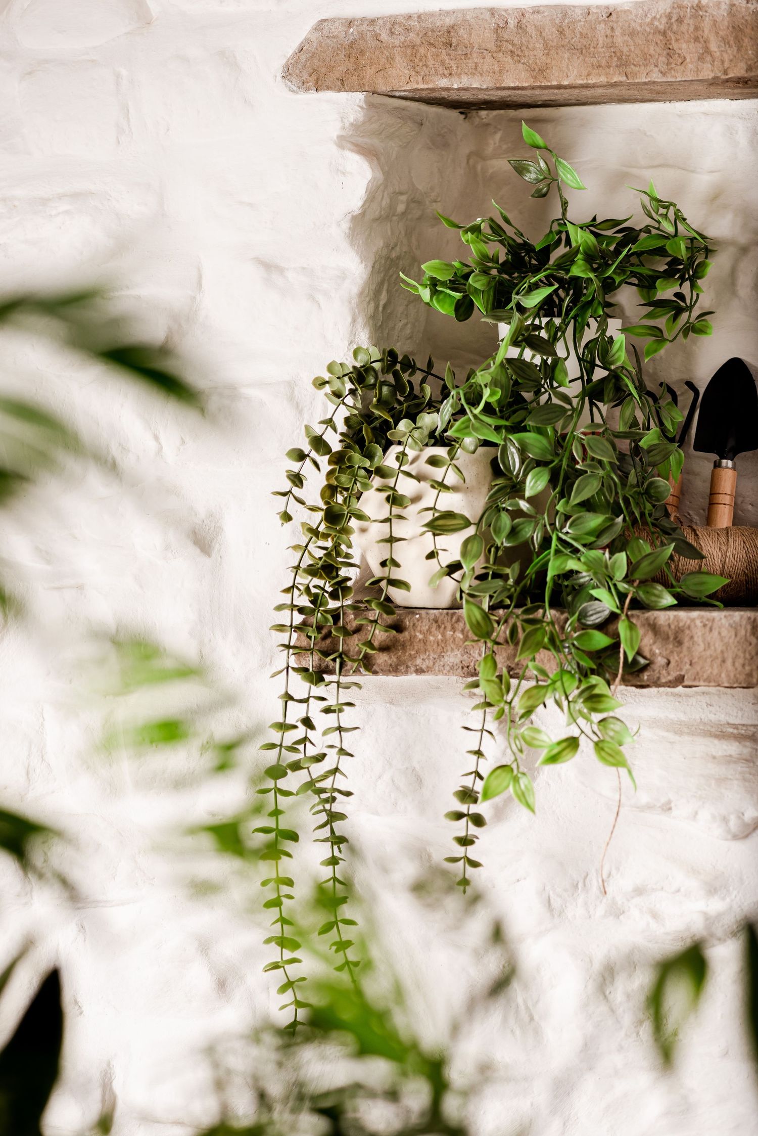 Plants and gardening equipment on a stone shelf in a white walled cottage. Fresh, interiors, gardening, lifestyle, hobby