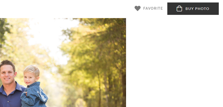 Web interface showing a portrait photo selection panel with navigation buttons.