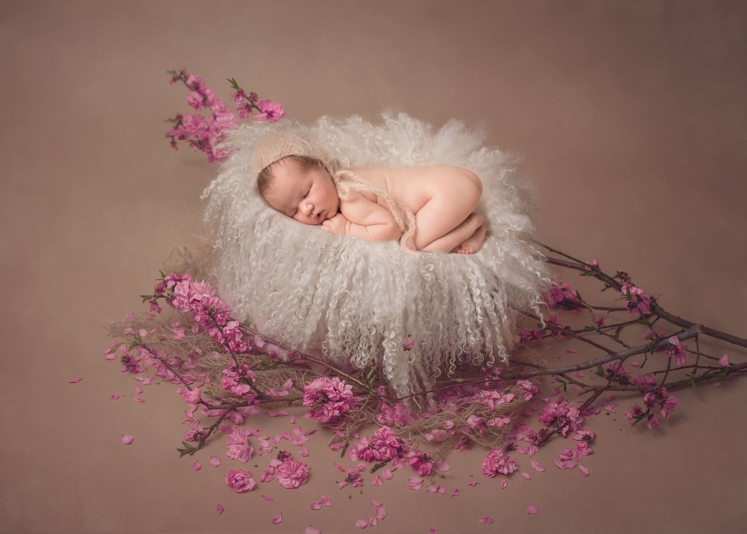 Blossom newborn creative portraits