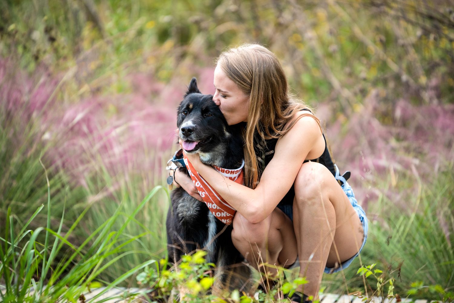 Small black dog being petted in field of tall grass and pink flowers.