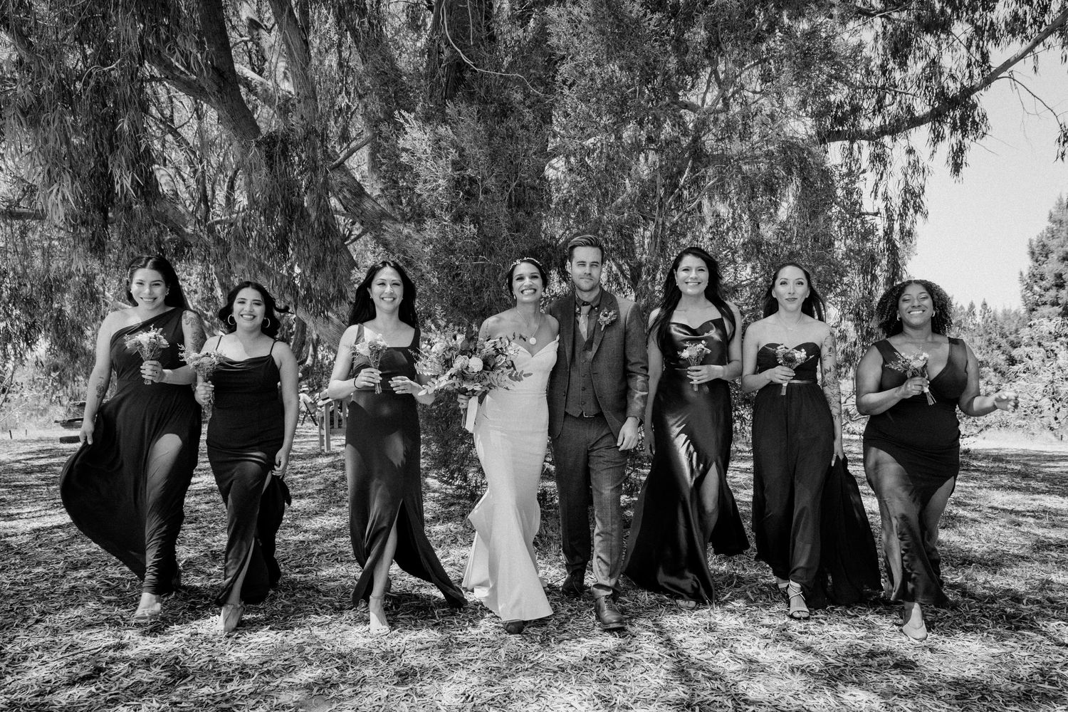 Wedding party in black attire poses under dramatic willow trees.