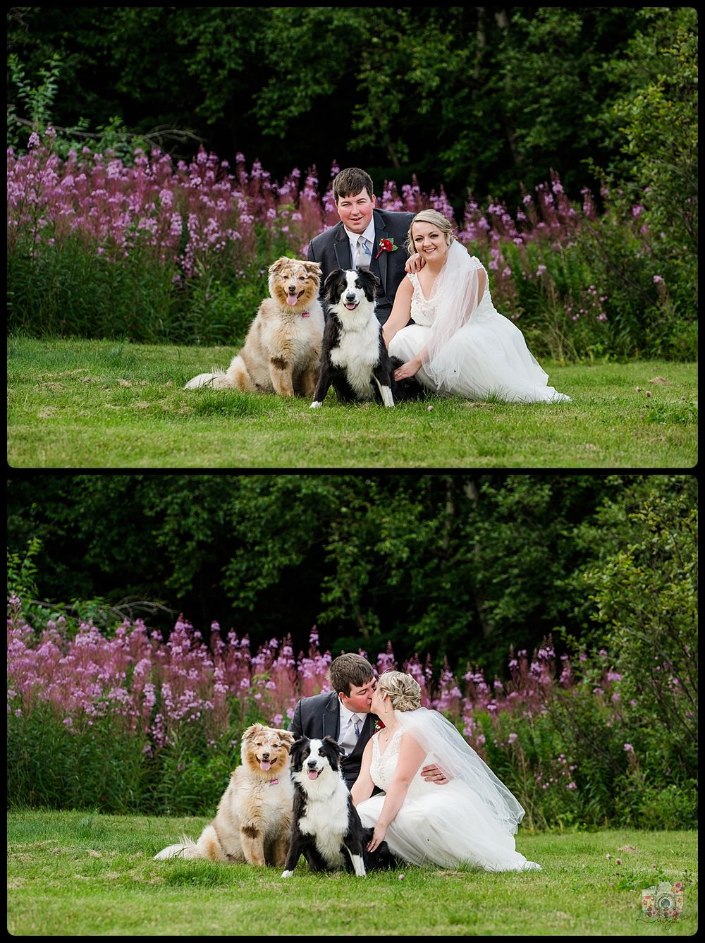 Wedding portrait in a garden with two dogs and beautiful purple flowers blooming in the background.