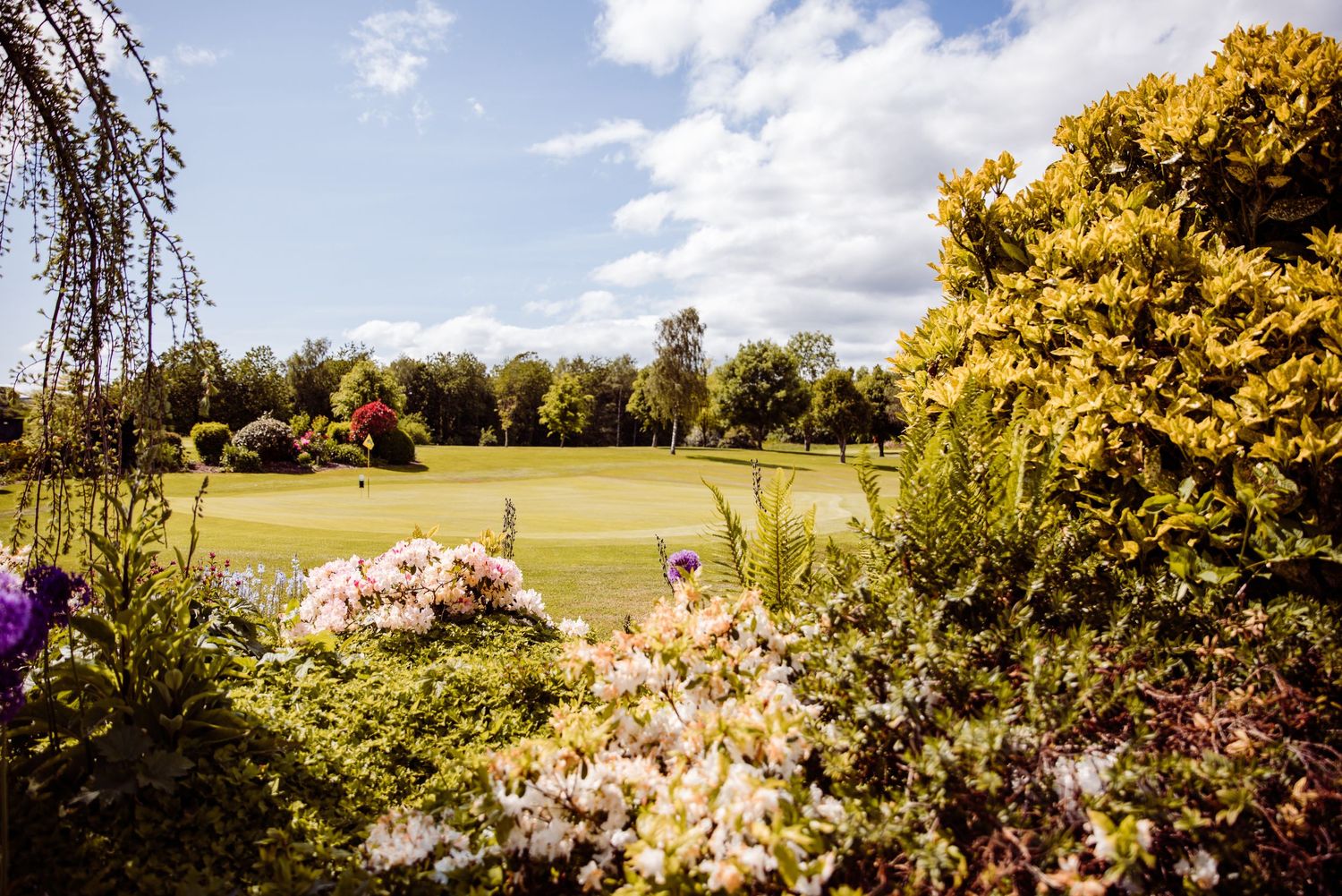 Beautiful garden view of a manicured lawn with colorful flowers and trees in golden sunlight.
