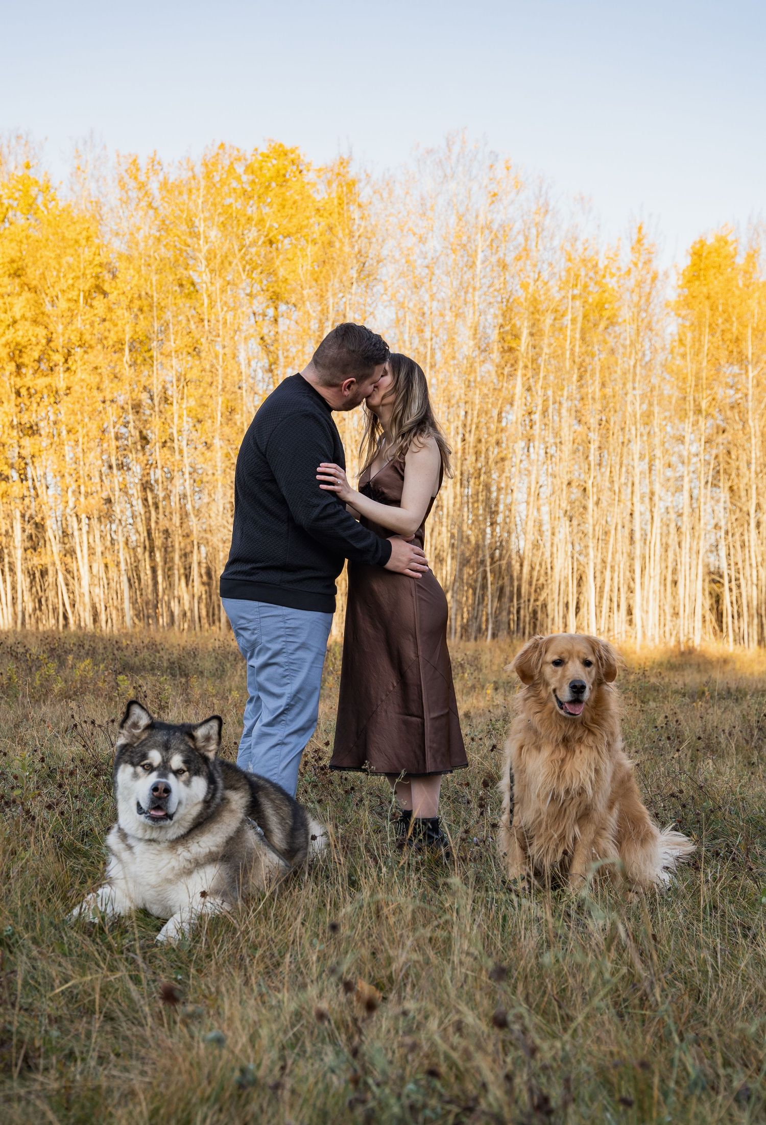 Romantic couple sharing intimate moment in fall setting with two dogs sitting beside them.